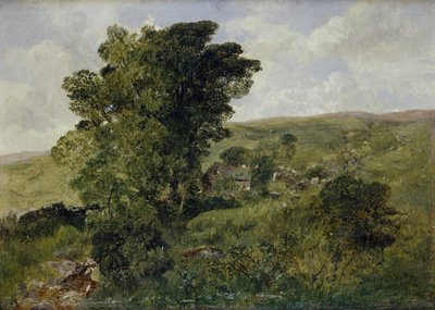 Vue de Nantlle, Caernarvonshire, 1855 - Alfred William Hunt