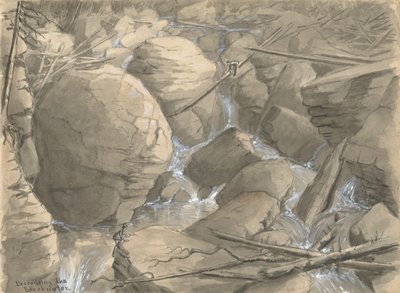 Descente du Blackwater - Alfred Wordsworth Thompson