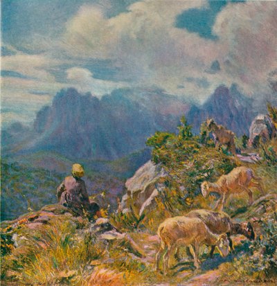 Pâturages dans les Alpes Apuanes - Alfredo Vaccari