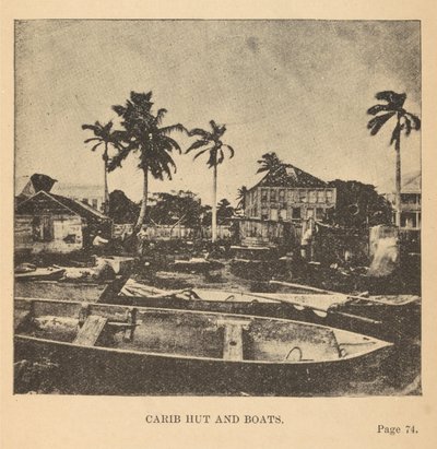Hutte Carib et bateaux - Alice D. Le Plongeon