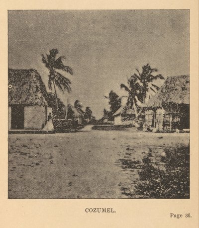 Cozumel - Alice Dixon Le Plongeon
