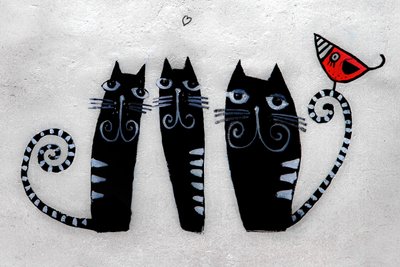 3 chats de Cracovie, 2019 (photographie) - Alice Gur-Arie