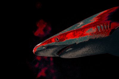 Bait, 2018 (photographie peinte à la main) - Alice Gur-Arie