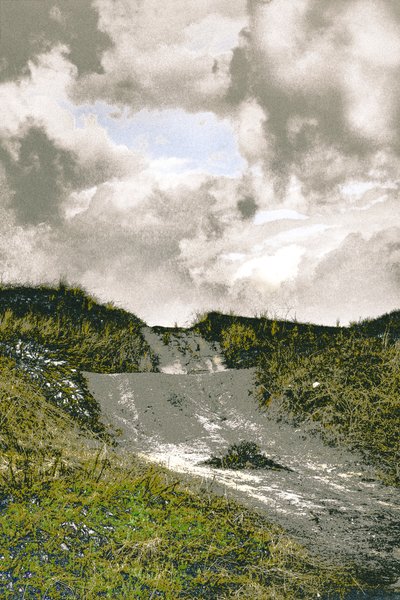 Beach Path, 2018 (photographie repeinte à la main) - Alice Gur-Arie