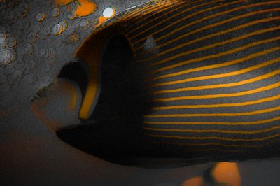 Bubbles and Stripes, 2018 (photographie repeinte à la main) - Alice Gur-Arie