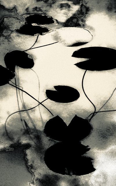 Gold Dust Shadows, de la série Spring, 2020 (photographie repeinte à la main) - Alice Gur-Arie