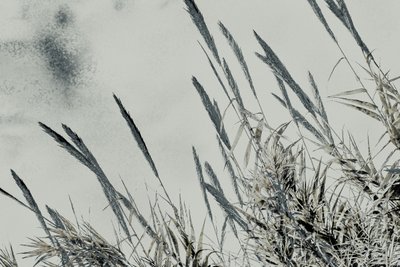 Harvest, 2017 (photographie peinte à la main) - Alice Gur-Arie