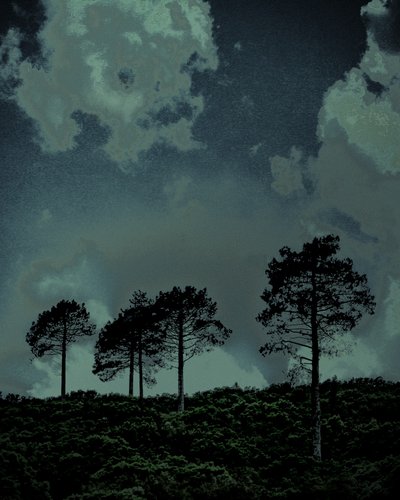 Last Light, 2018 (photographie peinte à la main) - Alice Gur-Arie
