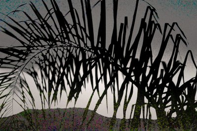 Looking Towards Tiberias, 2016 (photographie peinte à la main) - Alice Gur-Arie