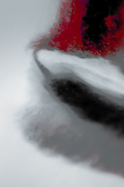 Mission, de la série Missionnaire, 2019 (photographie) - Alice Gur-Arie