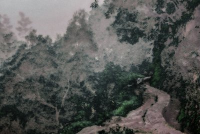 Chemin sur les Levadas, 2020 (photographie peinte à la main) - Alice Gur-Arie