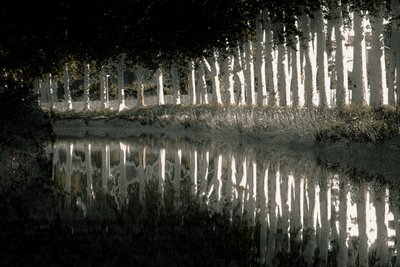 Rendu, 2018 (photographie repeinte à la main) - Alice Gur-Arie