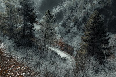 La route de Milan, 2018 (photographie peinte à la main) - Alice Gur-Arie