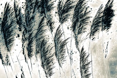 Vent d
