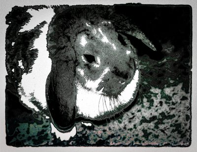 Rabbit Habbits, 2022 (photographie repeinte) - Alice Gur-Arie