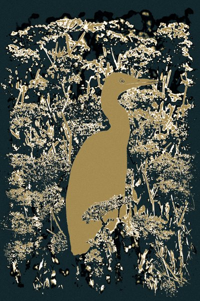 Royal Egret, 2015 (photograph) - Alice Gur-Arie