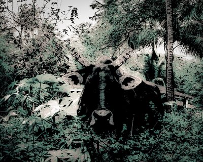 The Lodge Near Periyar, 2020 (photographie peinte) - Alice Gur-Arie