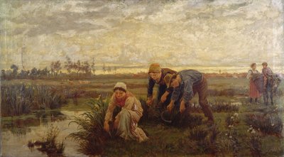Coupeurs de roseaux - Alice Havers
