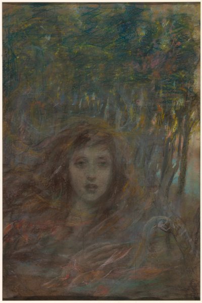 La vision à travers les bois - Alice Pike Barney
