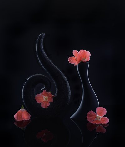  - Alice Sheng