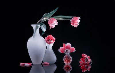  - Alice Sheng