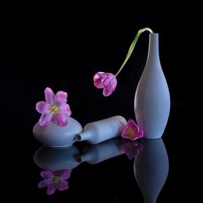  - Alice Sheng
