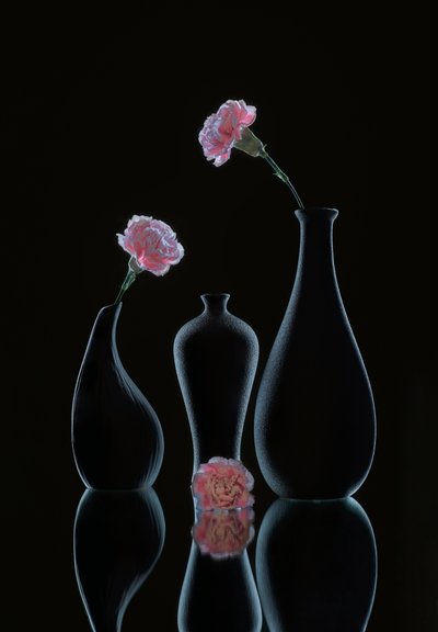  - Alice Sheng