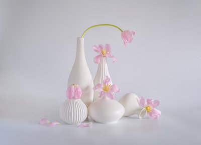  - Alice Sheng