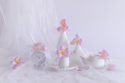  - Alice Sheng