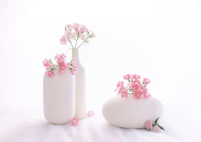  - Alice Sheng