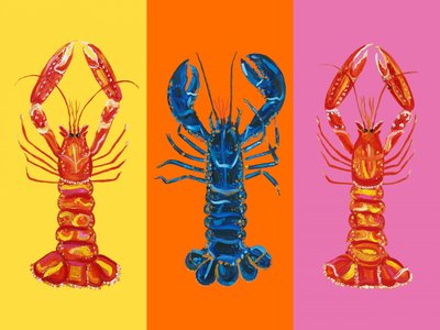 Homards pop colorés - Alice Straker