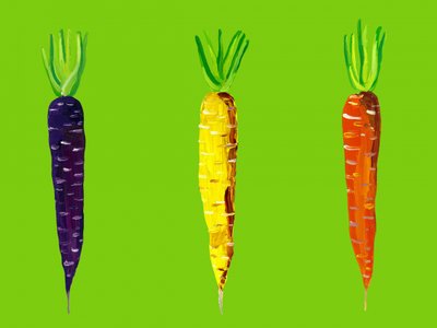 Carottes du jardin aux couleurs vives - Alice Straker