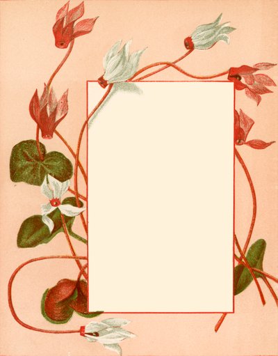 Janvier - Alicia Amy Leith