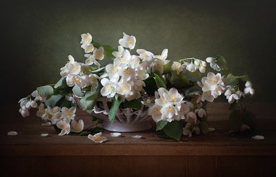  - Alina Lankina