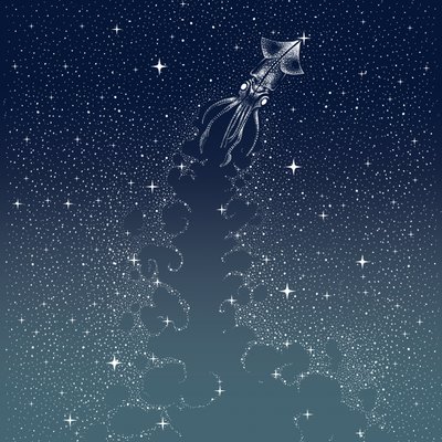 Le vol du calmar céleste - Alirıza ÇAKIR