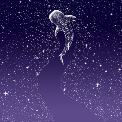 Star Eater : dégradé du bleu foncé au violet - Alirıza ÇAKIR