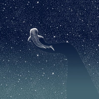 La Galaxie du Requin-baleine - Alirıza ÇAKIR