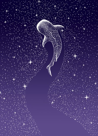 Nage avec les requins-baleines dans la galaxie - Alirıza ÇAKIR