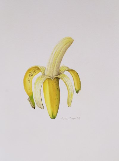 Une banane à moitié pelée, 1997 - Alison Cooper