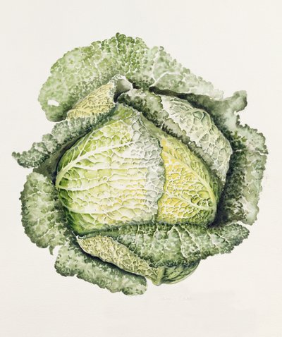 Chou de Savoie - Alison Cooper