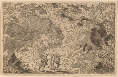 Une forêt dense - Allart van Everdingen