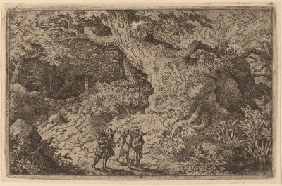 Une Forêt Épaisse - Allart van Everdingen