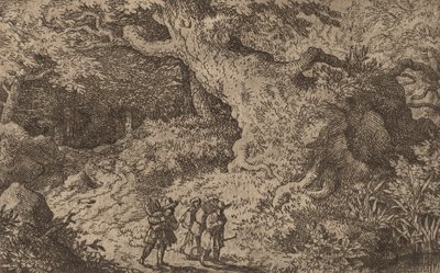 Une forêt dense - Allart van Everdingen