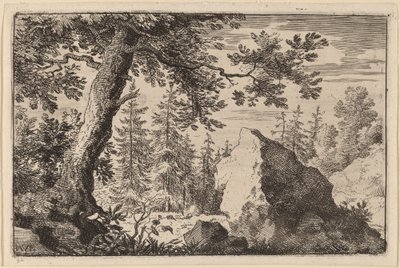 Rocher dans les bois - Allart van Everdingen