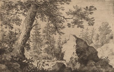 Rocher dans les bois, probablement vers 1645-1656 - Allart van Everdingen