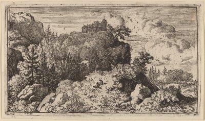 Sapins dans le défilé - Allart van Everdingen