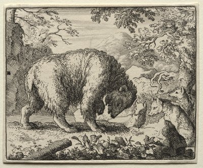 Renard le Goupil : Renard Promet du Miel à l