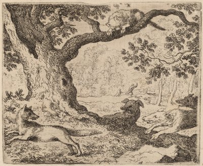 Le père de Reynard et le chat poursuivi par des chiens - Allart van Everdingen