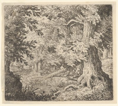 Le ruisseau dans le bois - Allart van Everdingen