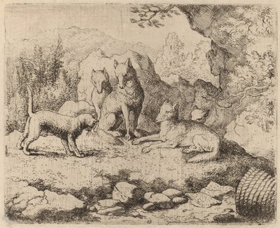 Le Chat envoyé comme messager, probablement vers 1645-1656 - Allart van Everdingen
